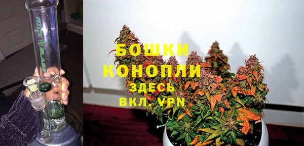 молекула духа Нягань