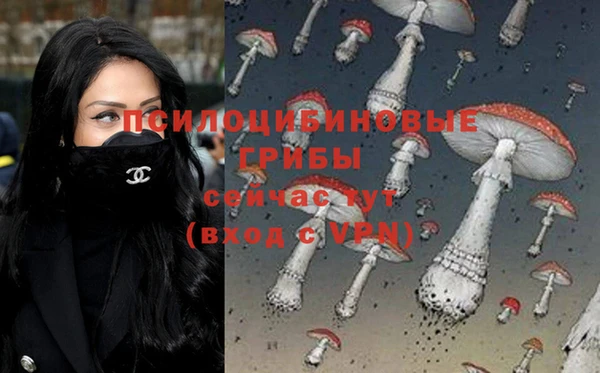 jwh Новокубанск
