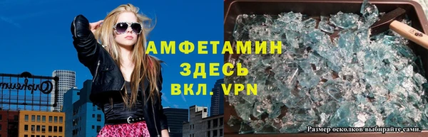 прущие грибы Нязепетровск