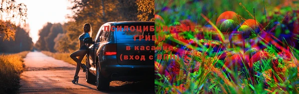 MDMA Premium VHQ Новодвинск