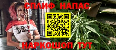 гидра Балашиха