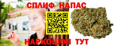 гидра Балашиха