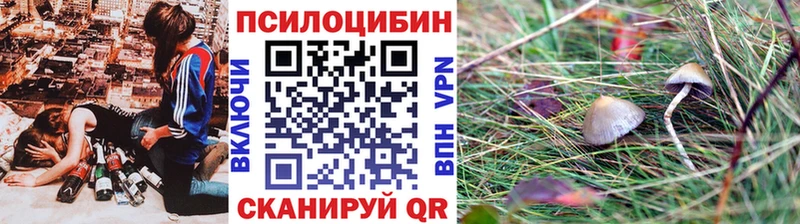 Галлюциногенные грибы Magic Shrooms  Волгоград 