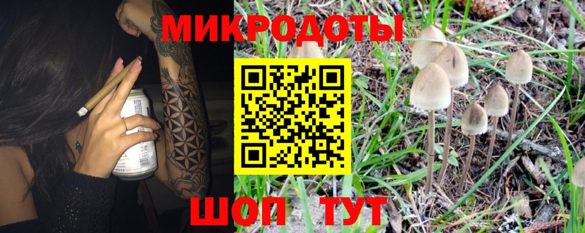 Галлюциногенные грибы Psilocybe  Волгоград 