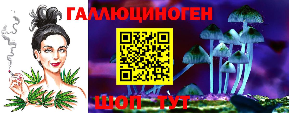 Волгоград  Галлюциногенные грибы прущие грибы  Галлюциногенные грибы Cubensis  Вход с VPN 