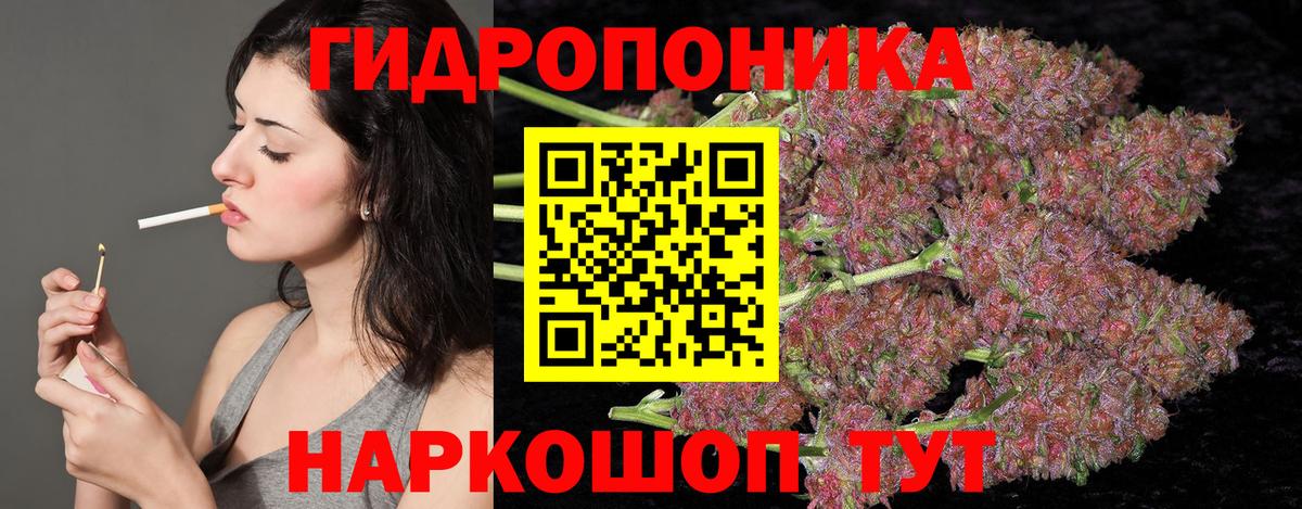 Каннабис VHQ  Каннабис планчик  Бошки марихуана индика  Волгоград  МАРИХУАНА VHQ  Вход с VPN 